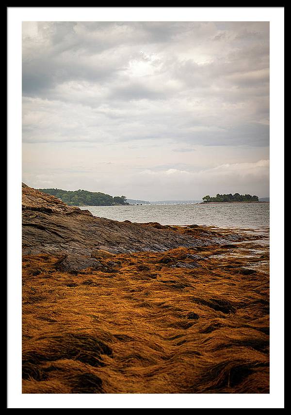 Down By The Sea - Framed Print