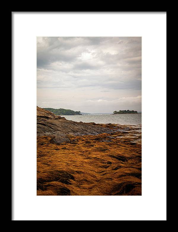 Down By The Sea - Framed Print