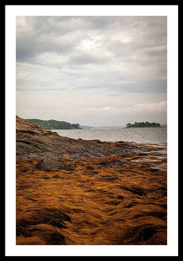 Down By The Sea - Framed Print