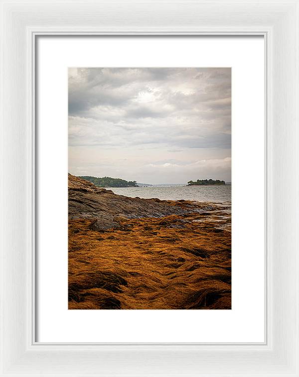 Down By The Sea - Framed Print