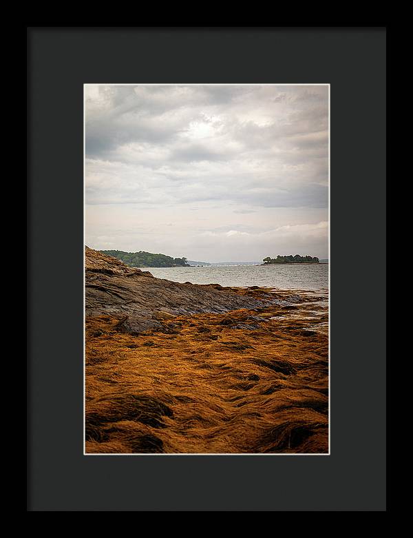 Down By The Sea - Framed Print