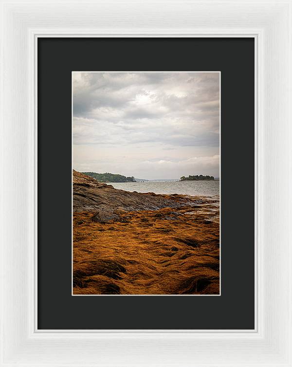 Down By The Sea - Framed Print