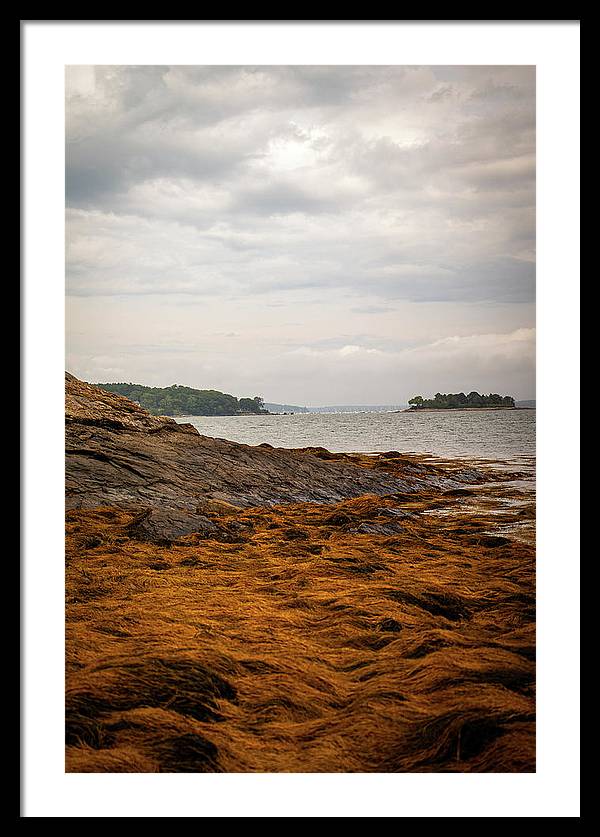 Down By The Sea - Framed Print