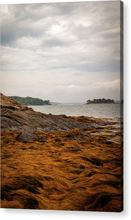 Down By The Sea - Acrylic Print