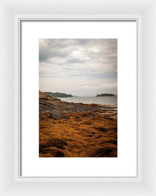 Down By The Sea - Framed Print