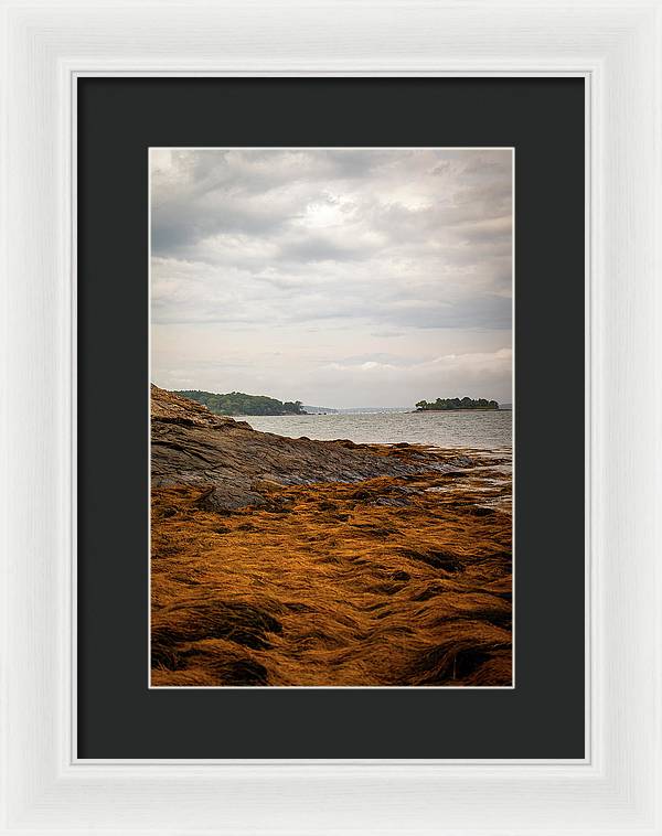 Down By The Sea - Framed Print