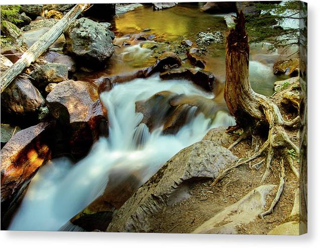 Heavenly Flow - Canvas Print