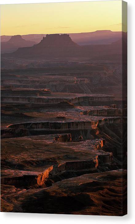 Land Before Time - Canvas Print