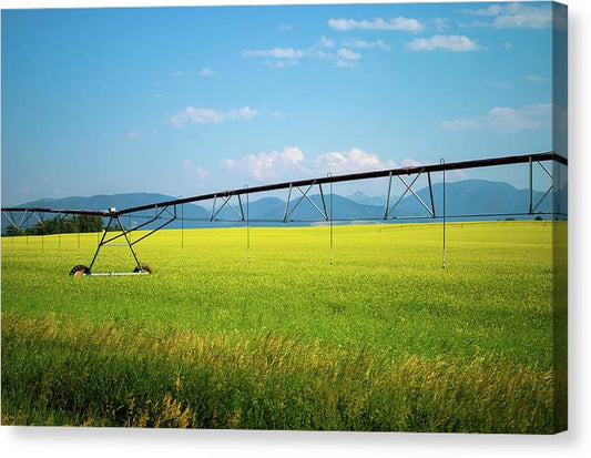 Montana Agriculture - Canvas Print