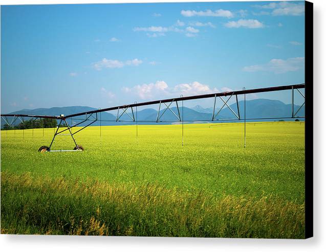 Montana Agriculture - Canvas Print