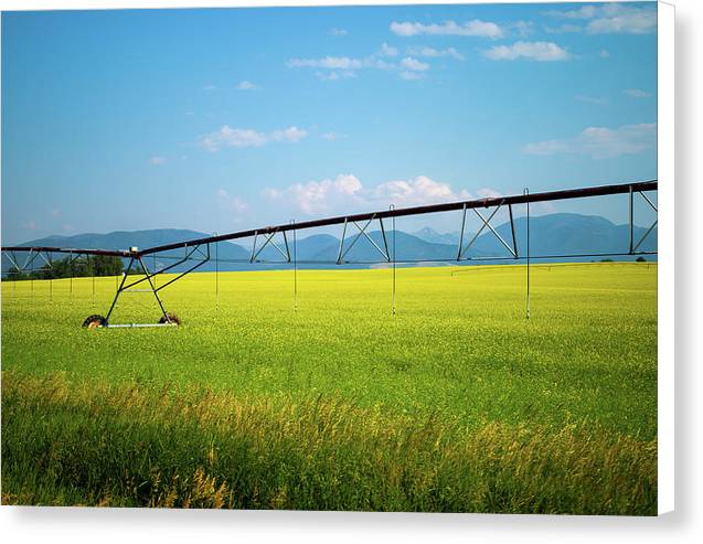 Montana Agriculture - Canvas Print