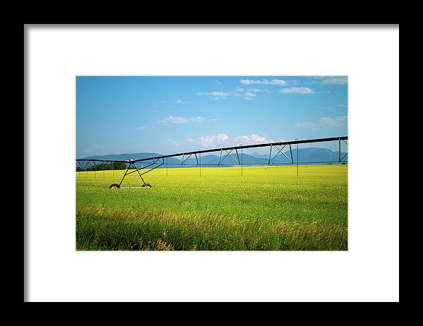 Montana Agriculture - Framed Print