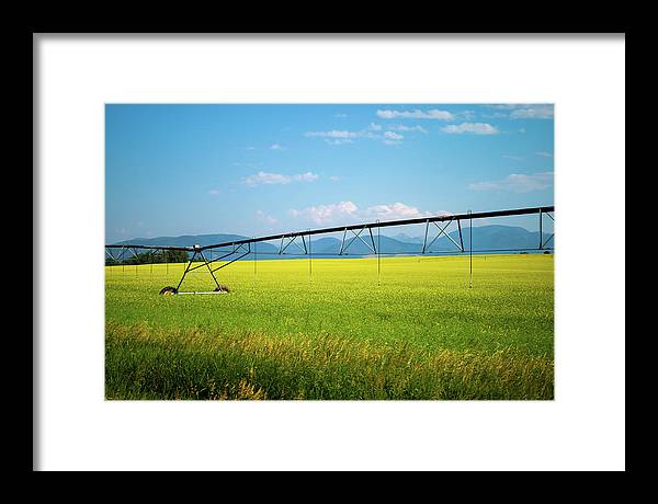 Montana Agriculture - Framed Print