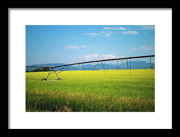 Montana Agriculture - Framed Print