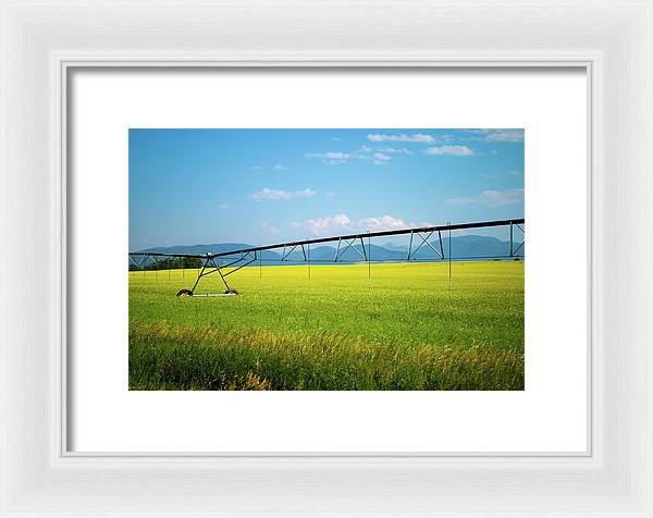 Montana Agriculture - Framed Print