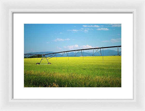 Montana Agriculture - Framed Print