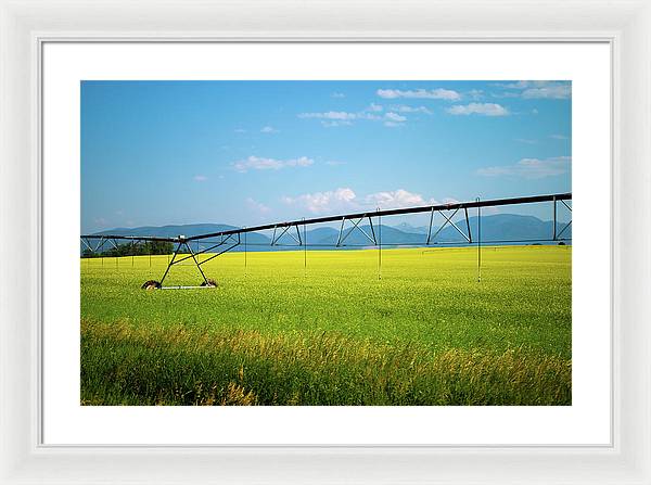 Montana Agriculture - Framed Print