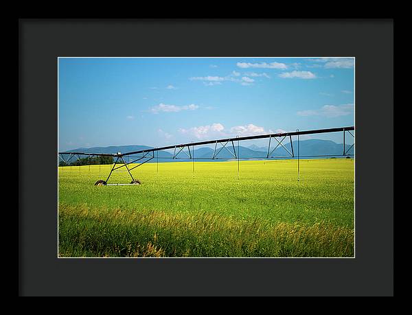 Montana Agriculture - Framed Print