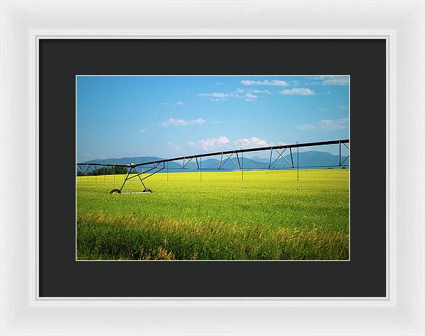 Montana Agriculture - Framed Print