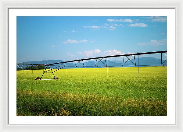 Montana Agriculture - Framed Print