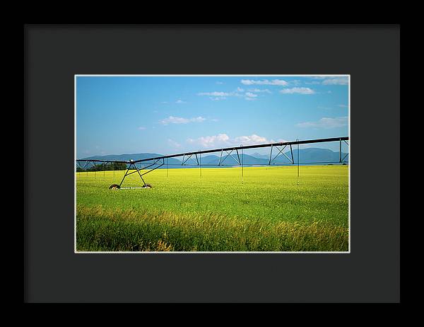 Montana Agriculture - Framed Print