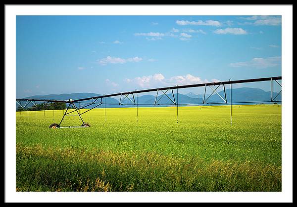 Montana Agriculture - Framed Print