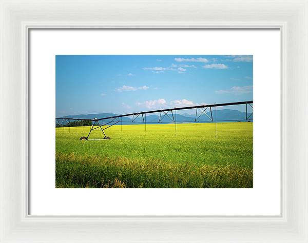 Montana Agriculture - Framed Print