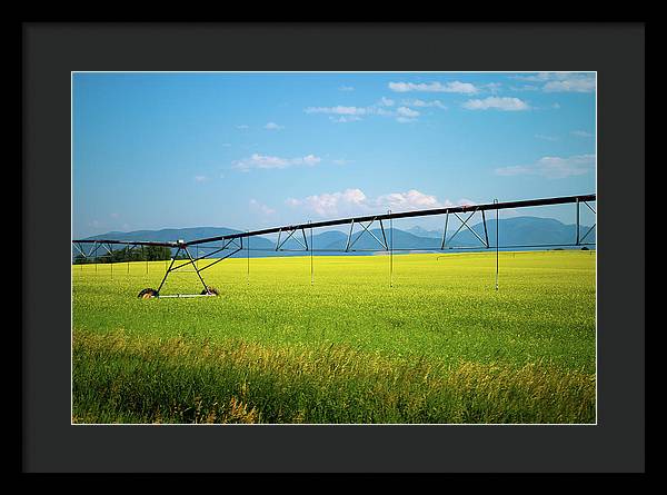 Montana Agriculture - Framed Print