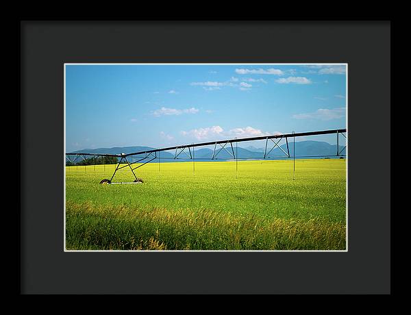 Montana Agriculture - Framed Print