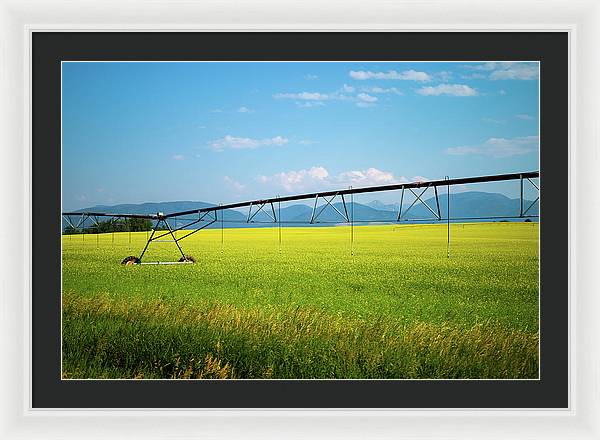 Montana Agriculture - Framed Print