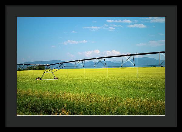 Montana Agriculture - Framed Print