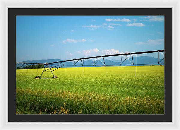 Montana Agriculture - Framed Print