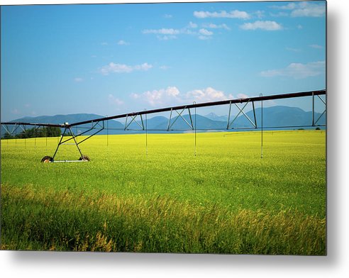 Montana Agriculture - Metal Print