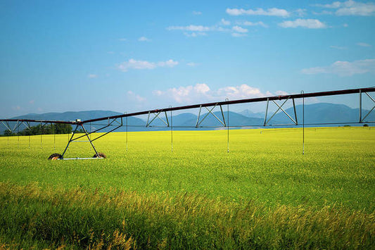 Montana Agriculture - Art Print