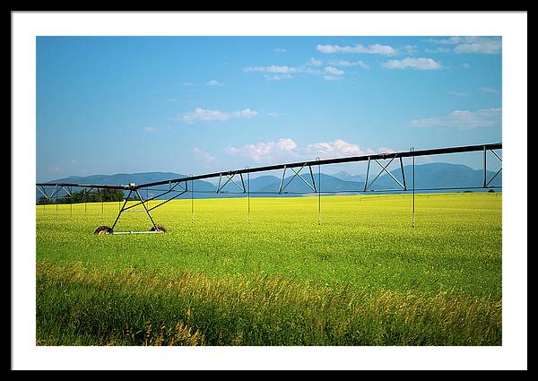 Montana Agriculture - Framed Print