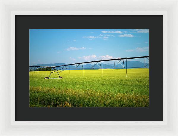 Montana Agriculture - Framed Print