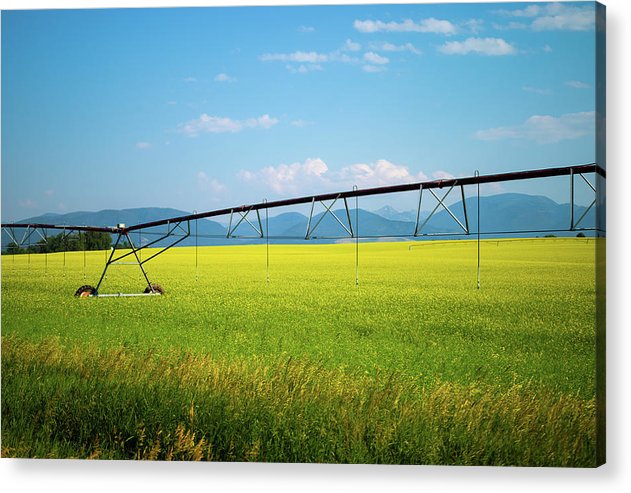 Montana Agriculture - Acrylic Print