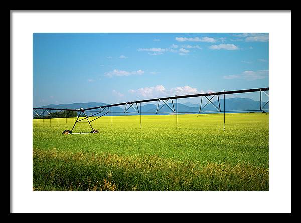 Montana Agriculture - Framed Print