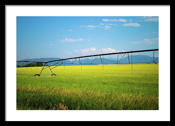 Montana Agriculture - Framed Print