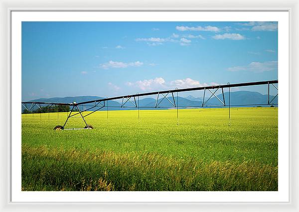 Montana Agriculture - Framed Print