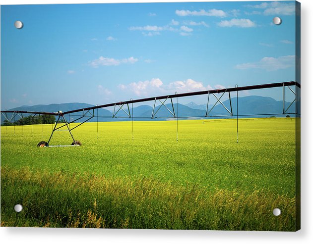 Montana Agriculture - Acrylic Print