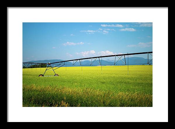 Montana Agriculture - Framed Print