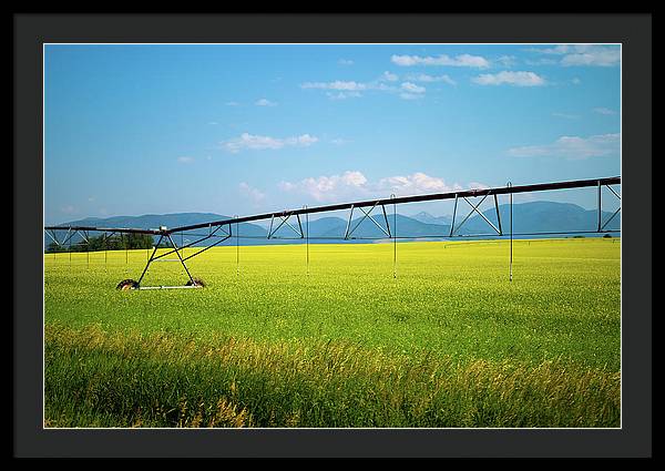 Montana Agriculture - Framed Print