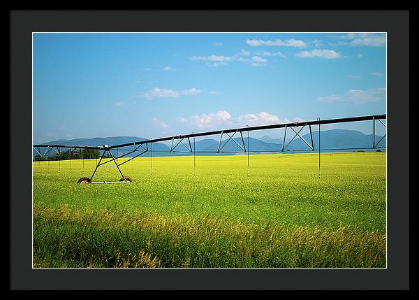 Montana Agriculture - Framed Print