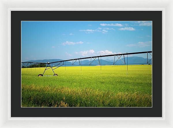 Montana Agriculture - Framed Print