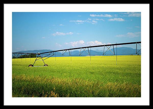 Montana Agriculture - Framed Print