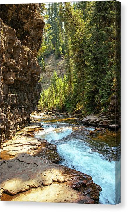 Perfection - Canvas Print