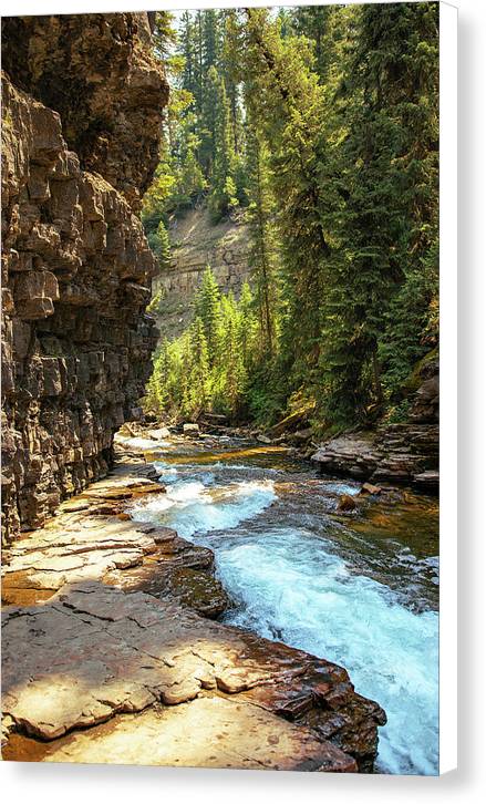 Perfection - Canvas Print