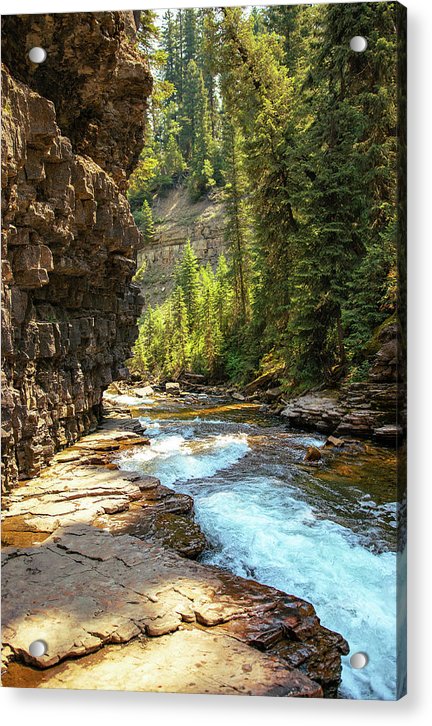 Perfection - Acrylic Print