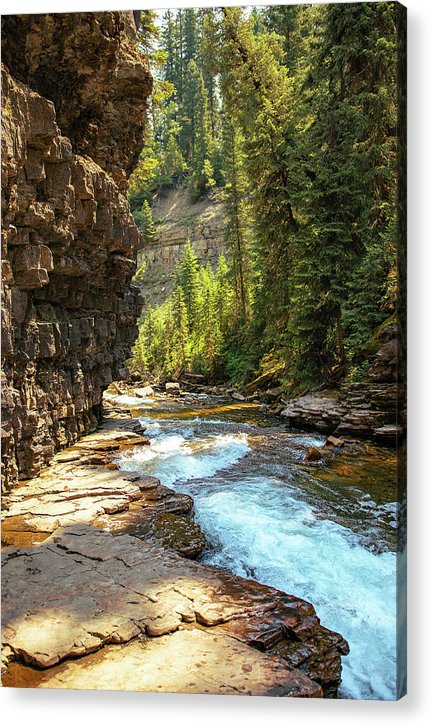 Perfection - Acrylic Print